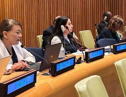 Guatemala propone reforzar mecanismos de cooperación ante Foro ECOSOC