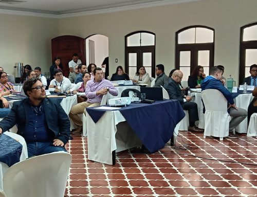 Instituciones fortalecen su planificación estratégica, con asesoría técnica de SEGEPLAN